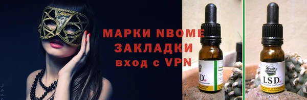гашик Белокуриха
